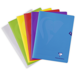 Cahier piqué Mimesys...