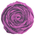 Crêpepapier 75% rol-2,50x0,50m bordeaux/ St.