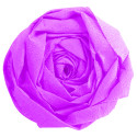 Crêpepapier 75% rol-2,50x0,50m cyclamen/ St.