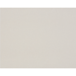 Carton Gris 2,5mm 10F...