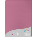 Pollen Card A4 160gsm/ Pc.