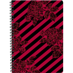 CT, C. Thème A4 240-Pages...