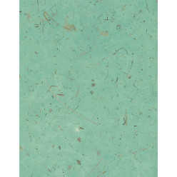 BANANE, 10F  65*95 VERT...