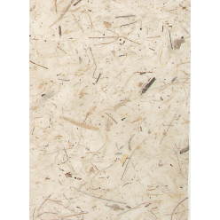 BANANE, 10F PAPIER 65*95...