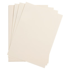 25F. MAYA 270G  50X70...