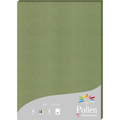 Etui de 25 feuilles Pollen...