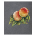 Blok PastelGrain n°1- 24x30 12bl 360g/ St.