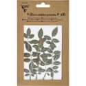 FLEURS SÉCHÉES PRÉSSÉES, Pochette de 10 pièces - Feuilles arrondies/ Pce