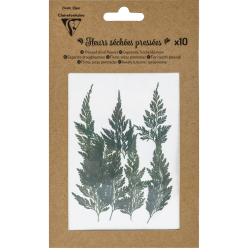 FLEURS SECHEES PRESS-EES,...