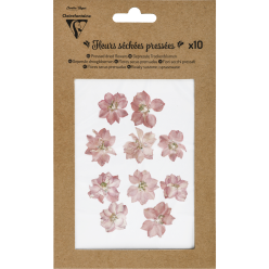 FLEURS SÉCHÉES PRÉSSÉES,...