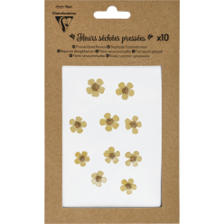 Gedroogde bloemen pl-at, 10...