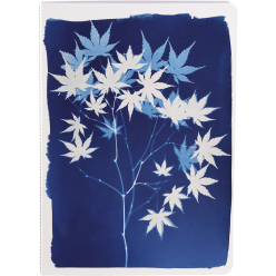 Cyanotype, Carnet cousu fil...