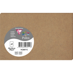 Pollen 5 kaarten 210g 82x128 kraft-/ St.