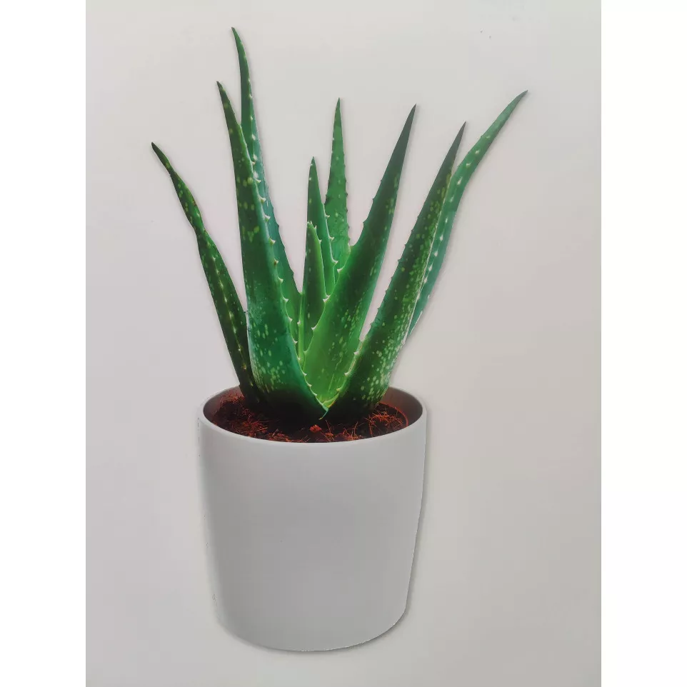 Panneau imprimé détouré