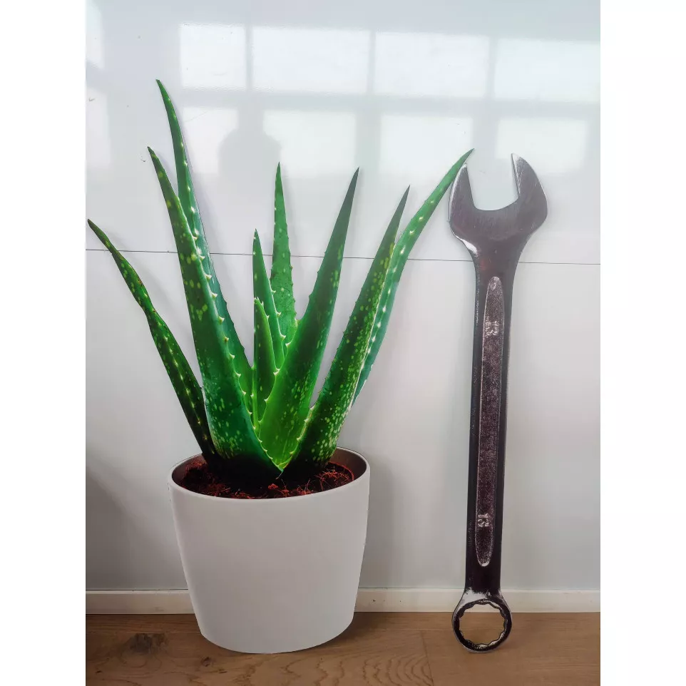 Uitgesneden bedrukt paneel