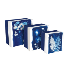 Cyanotype Square Boxes Set of 3/ Pc.