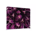 Cloison En Tissu 200-150 Cactus Violet