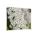 Scheidingswand Textiel 200-150 Dubbelzijdig Witte Bloem Spirea