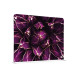 Cloison En Tissu 150-150 Cactus Violet