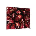Cloison En Tissu 150-150 Cactus Rouge