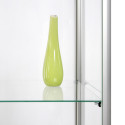 Glass Showcase Double Door 80 x 40 x 200 cm