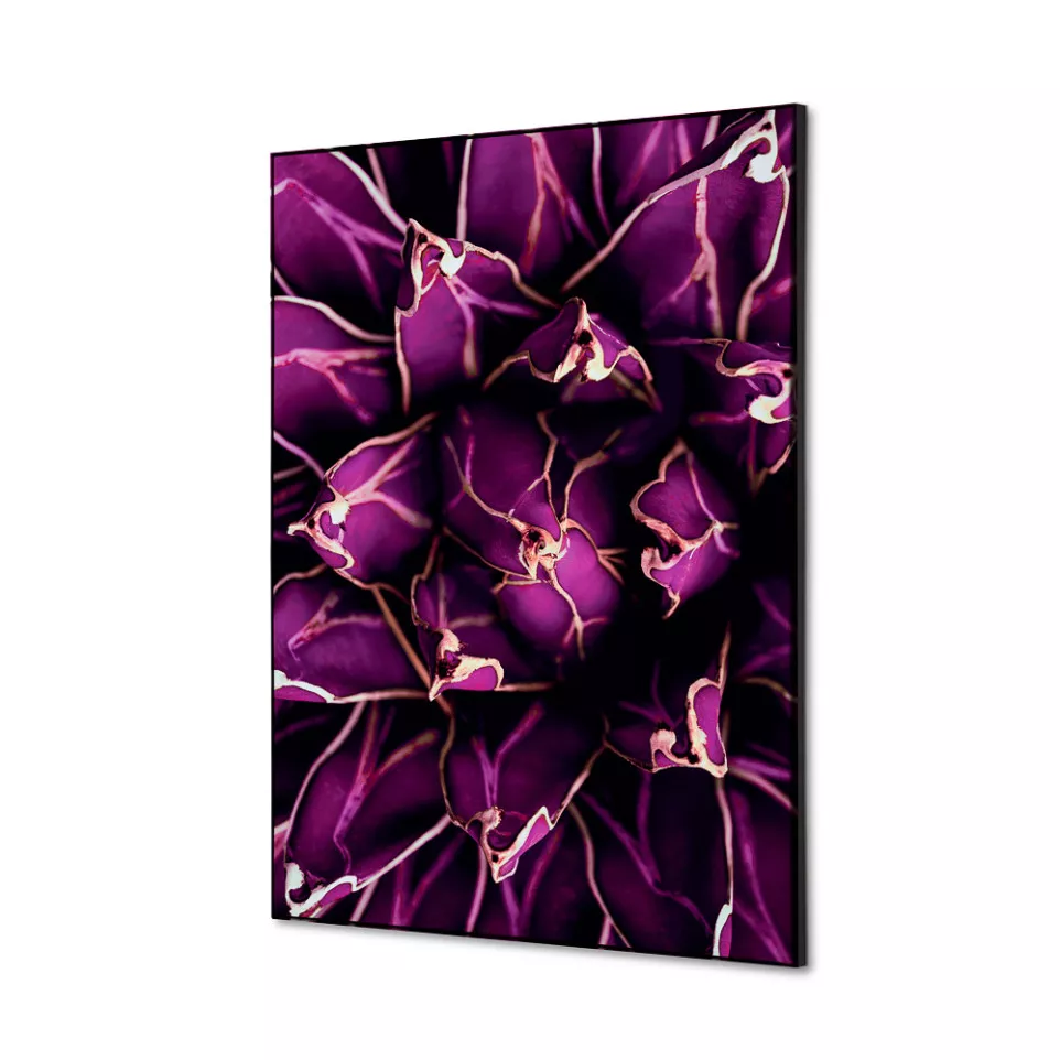 Textile Wall Decoration SET A2 Cactus...