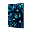 Décoration Murale en Tissu SET A2 Cactus Bleu 