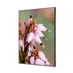 Wanddecoratie Textiel SET A2 Roze Bloem Erica