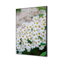 Textile Wall Decoration SET A2 White Flower Spirea I3