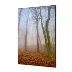 Textile Wall Decoration SET A1 Autumn Mist I823