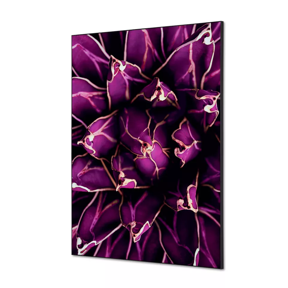 Textile Wall Decoration SET A1 Cactus...