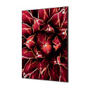 Textile Wall Decoration SET A1 Cactus Red I821
