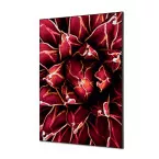 Wanddecoratie Textiel SET A1 Cactus Rood