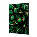Décoration Murale en Tissu SET A1 Cactus Vert