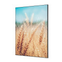 Textile Wall Decoration SET A1 Grain Field I814