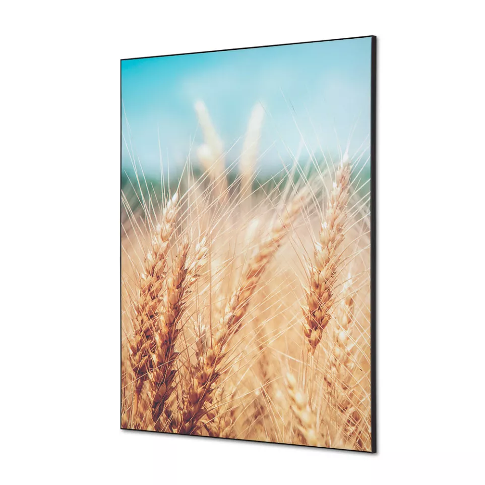 Wanddecoratie Textiel SET A1 Graanveld 