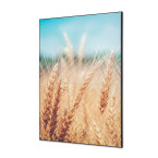 Textile Wall Decoration SET...