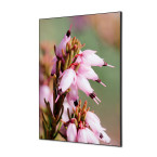 Textile Wall Decoration SET...