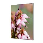 Wanddecoratie Textiel SET A1 Roze Bloem Erica