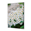 Textile Wall Decoration SET A1 White Flower Spirea I3