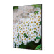 Textile Wall Decoration SET A1 White Flower Spirea I3