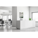 Textile Wall Decoration SET A1 White Flower Spirea I3