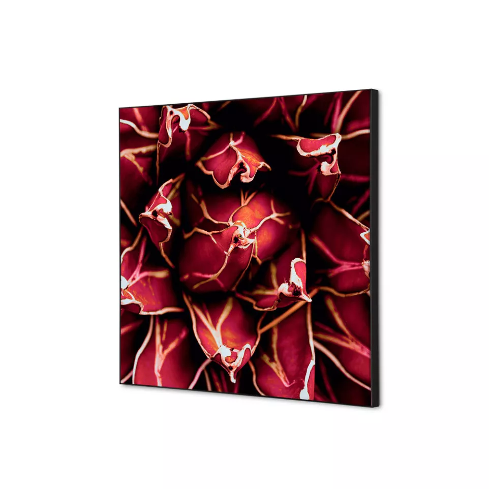 Textile Wall Decoration SET 40 x 40...