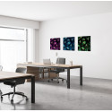Décoration Murale en Tissu SET 40 x 40 Cactus Vert