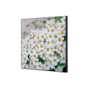 Wanddecoratie Textiel SET 40 x 40 Witte Bloem Spirea