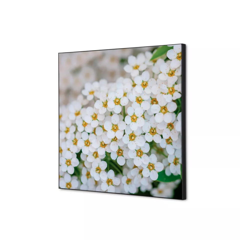 Wanddecoratie Textiel SET 40 x 40...