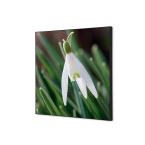 Wanddecoratie Textiel SET...