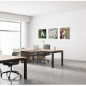 Décoration Murale en Tissu SET 40 x 40 Fleur Blanche Spirée