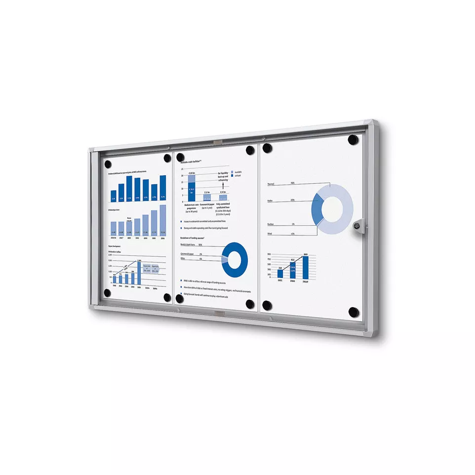 Indoor Lockable Showcase Economy 3x A4