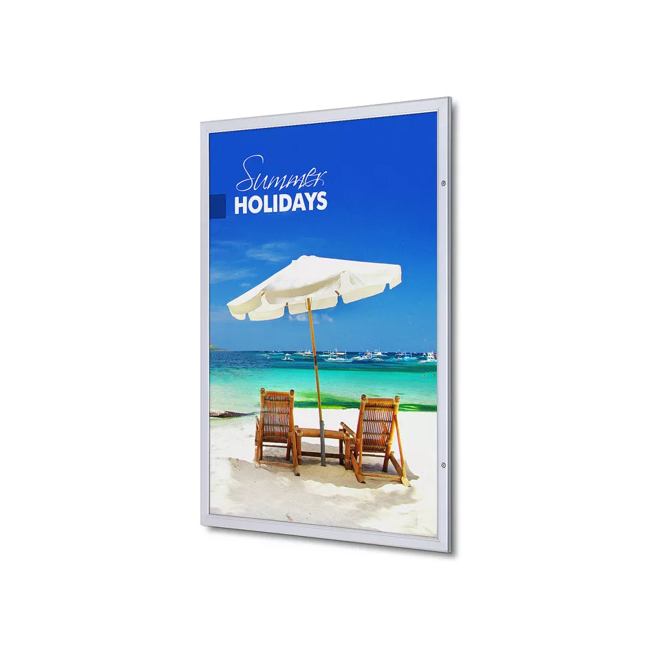 Vergrendelbare Poster Case Economy A0